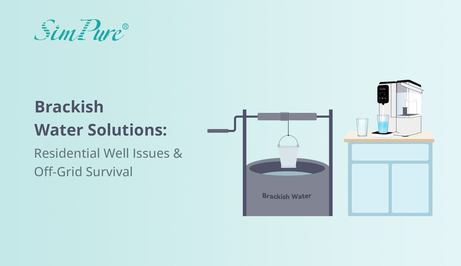 Brackish Water Solutions: From Residential Well Issues to Off-Grid Survival